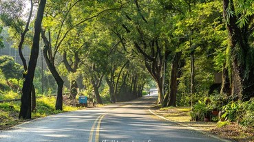 2019南投【集集車站一日遊景點】美食.雨天備案