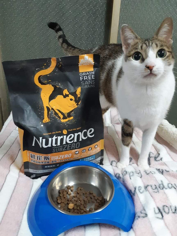 貓飼料推薦-貓奴必備紐崔斯Nutrience 頂級無穀飼料 凍乾系列 成貓無穀 火雞肉+雞肉+鮭魚 2.27kg 開箱分享