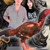 ด.ดิวฟาร์ม🐔