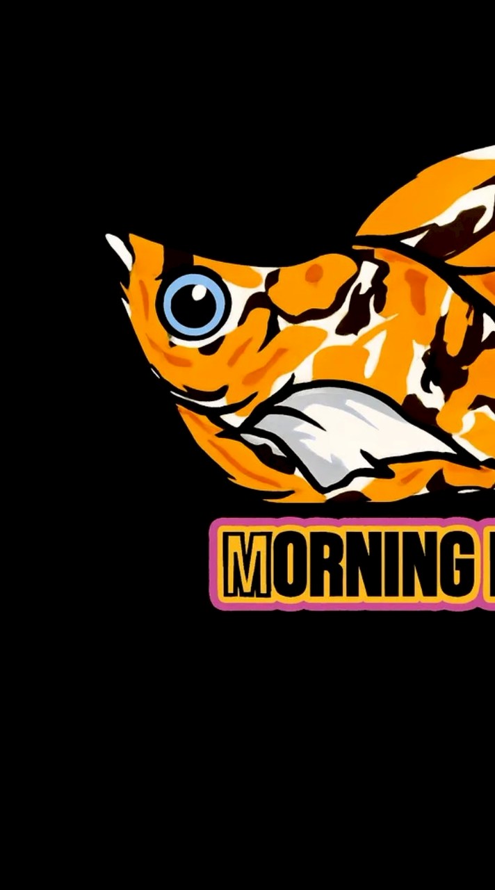 Morning Molly Fish​.🐠(แบ่งปัน​ความรู้​-ซื้อขาย)