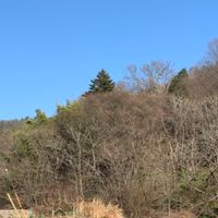 かげろうビオトープクラブ
