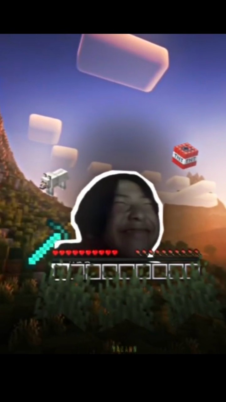 マイクラ組