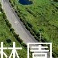 我是林園人