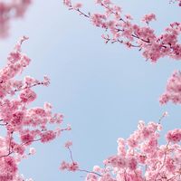瘋言瘋語