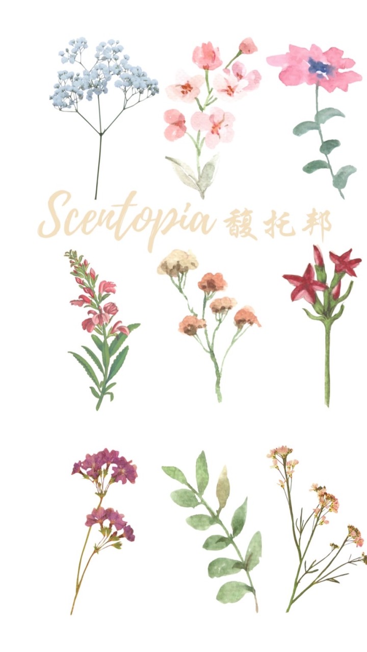 馥托邦 Scentopia