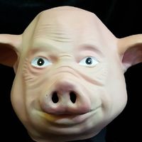 🐖 ซื้อ - ขาย 🐖 ราคาหน้าฟาร์ม