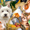 🐶👑愛犬👑🐶と愉快な仲間たち🍒😎🪇🎉🥂🏆