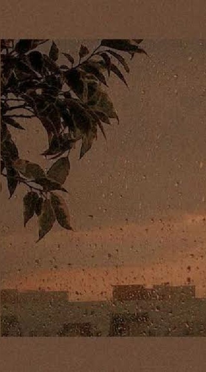☾︎ ROLEPLAY  AU.ไทย  - มหาลัย ᵗʷⁱˢᵗᵉᵈ_ ʷᵒⁿᵈᵉʳ_ˡᵃⁿᵈ ☽︎