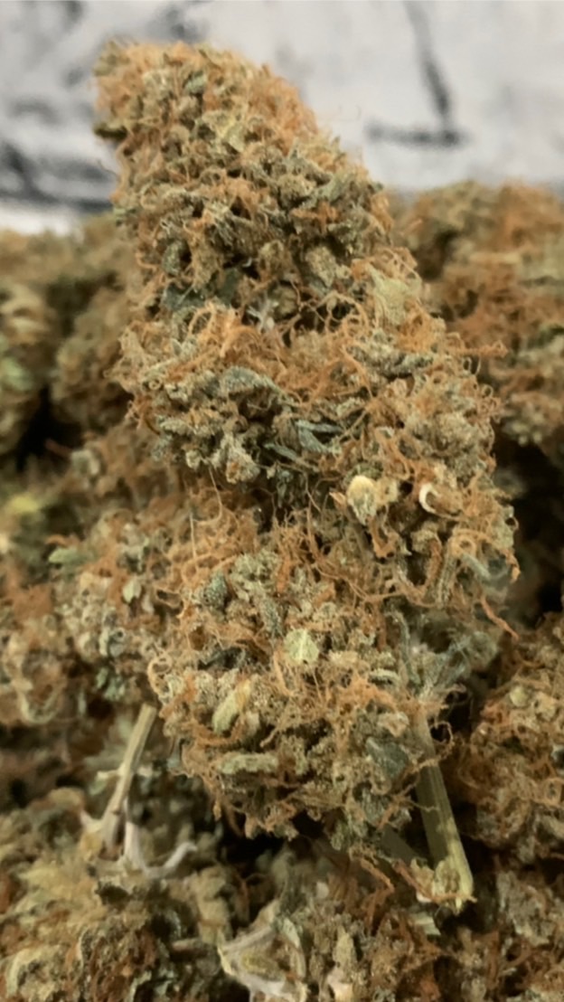 MBN KUSH