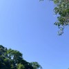 Phuket หาดีล