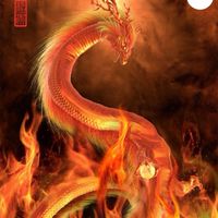 紅龍星会520