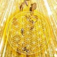 AAA吃喝玩樂賺錢群