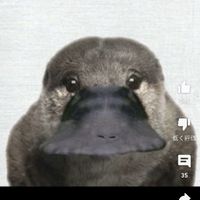 情報技術科　３年４組