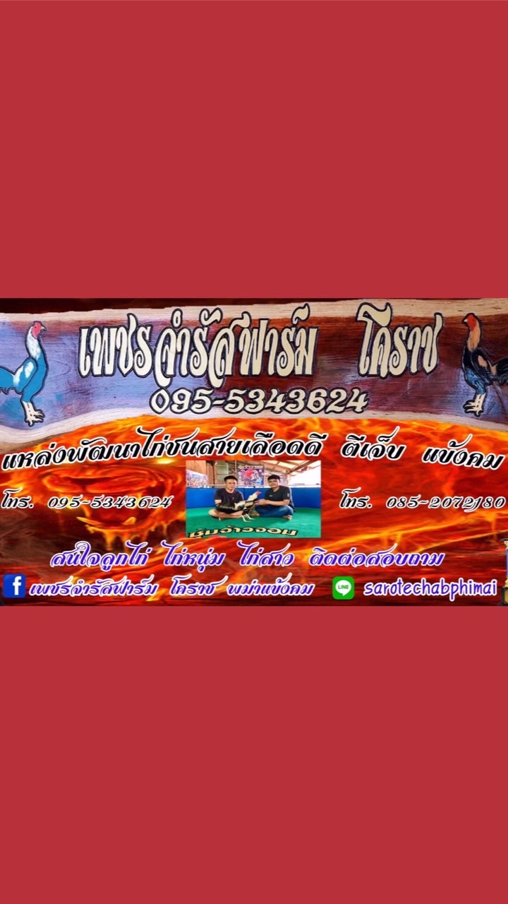 ไก่ชน เพชรจำรัสฟาร์ม โคราช