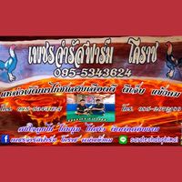ไก่ชน เพชรจำรัสฟาร์ม โคราช