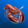 一起賺🦐🦐