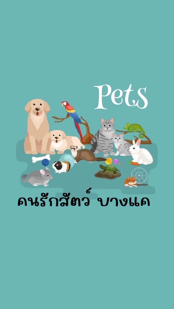 คนรักสัตว์-บางแค