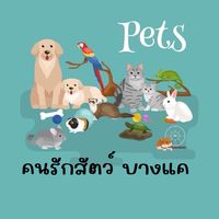 คนรักสัตว์-บางแค