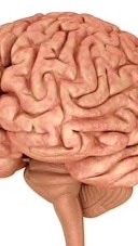 教えて、昼下がりの眠気を覚ます方法