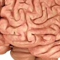 教えて、昼下がりの眠気を覚ます方法