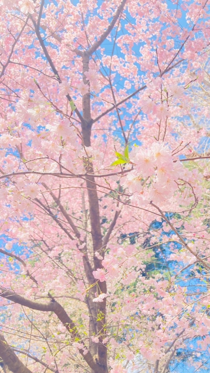 ネット友グル