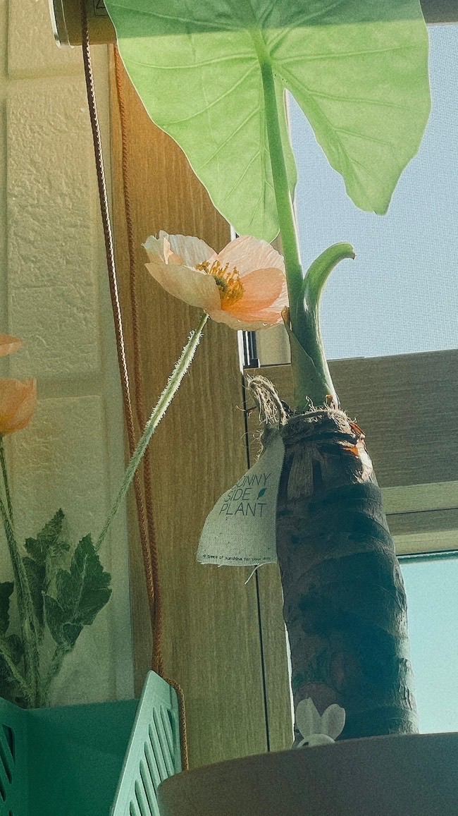 treasure海外コン情報交換etc