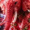 ブレロ全般！35人で覚醒ラマラビ配布と副官投票！狙ってる人はぜひ！宣伝も相互なら無断でOK！