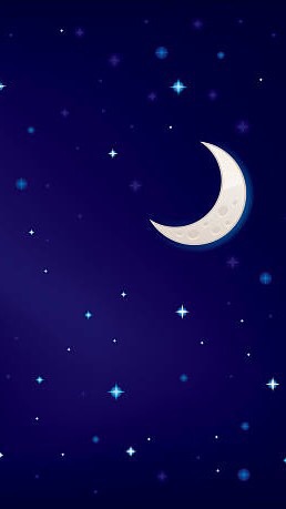 セーラームーン、星うさを愛でる会