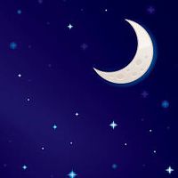 セーラームーン、星うさを愛でる会