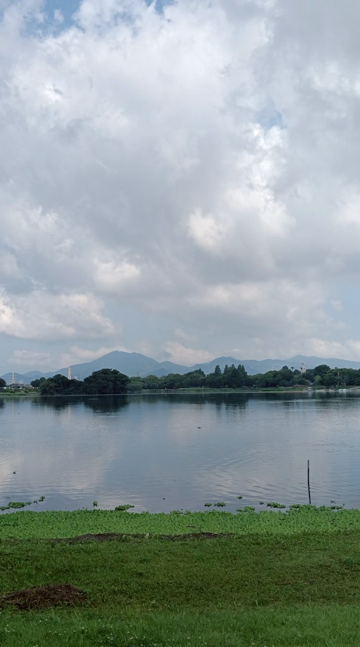 熊本民集合