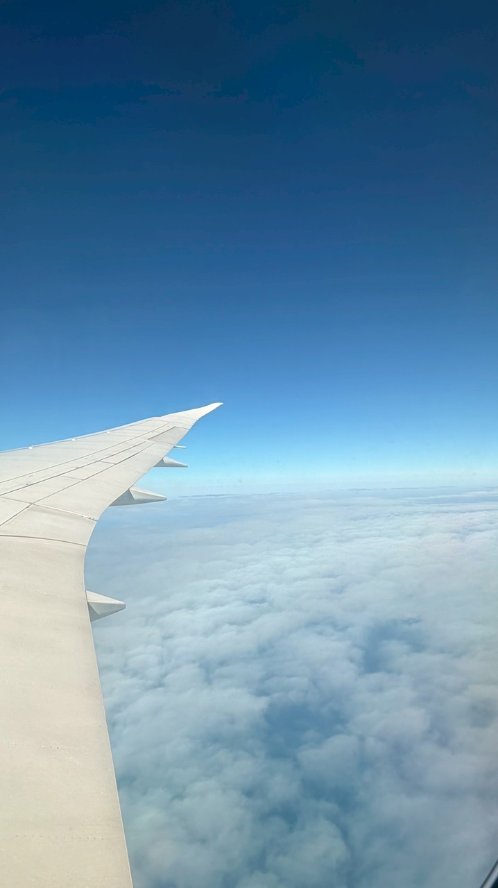 Lunaの優惠情報站✈️
