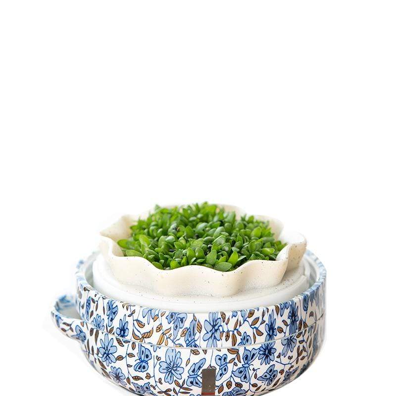 產品特色 居家妝點 桌上型療癒盆栽 植栽的三大獨家技術 一份完美的綠意禮物 產品介紹 『春訪悠然』 春天笑著，像迎接新生命的到來， 溫暖的空氣依著午後的陽光綻放， 喝著熱花茶享受一段悠暇的時光； 背上