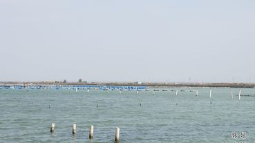 2019 年菜預購 | 南台灣12項優質食材 海線的故事