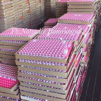 ⭐️⭐️Bigeye 80 ส่งฟรี By..kroo Noey⭐️⭐️