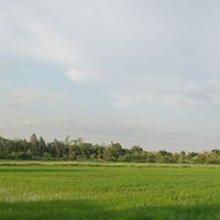 ที่ดิน วิวนา ต.สวนดอกไม้ เสาไห้ สระบุรี