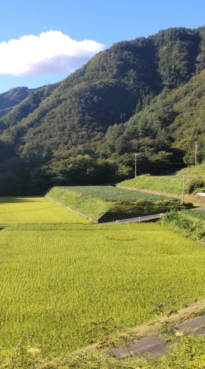 ときさんちの農産物情報