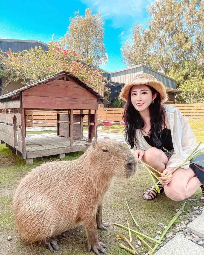 休閒農場推薦 鹿境 Paradise Of Deer