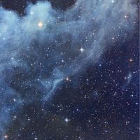 棉花娃超可愛