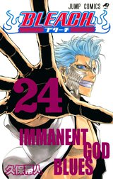 BLEACH カラー版