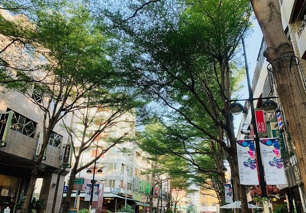 倪倪愛旅遊－『台中購物商圈推薦』台中在地人後花園小歐洲，綠意盎然異國購物散策－台中市大隆路商圈日韓、歐美私貨精品挖寶直擊分享