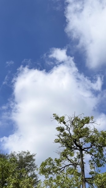 楊梅跨單位社區合作夥伴交流社群