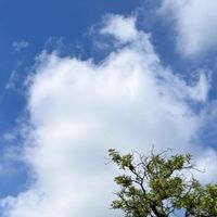 楊梅跨單位社區合作夥伴交流社群