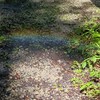 風景が好きな人あつまれ!