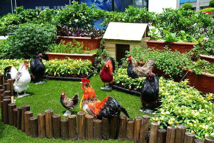 響應柯文哲田園城市政策，Sony 打造亞洲唯一 BRAVIA House 綠化建築限定店