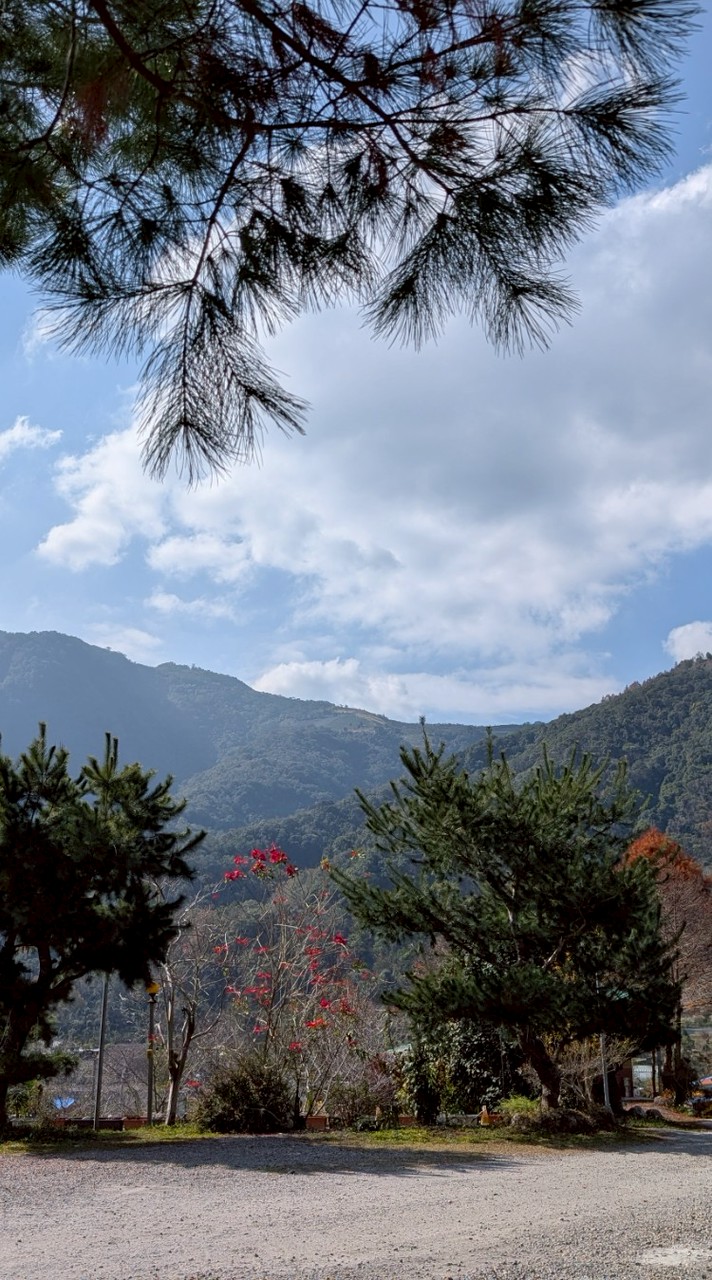 115-01-31武界雲海民宿