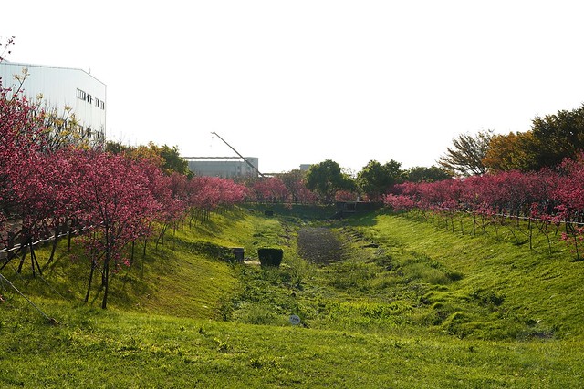崴立機電櫻花公園