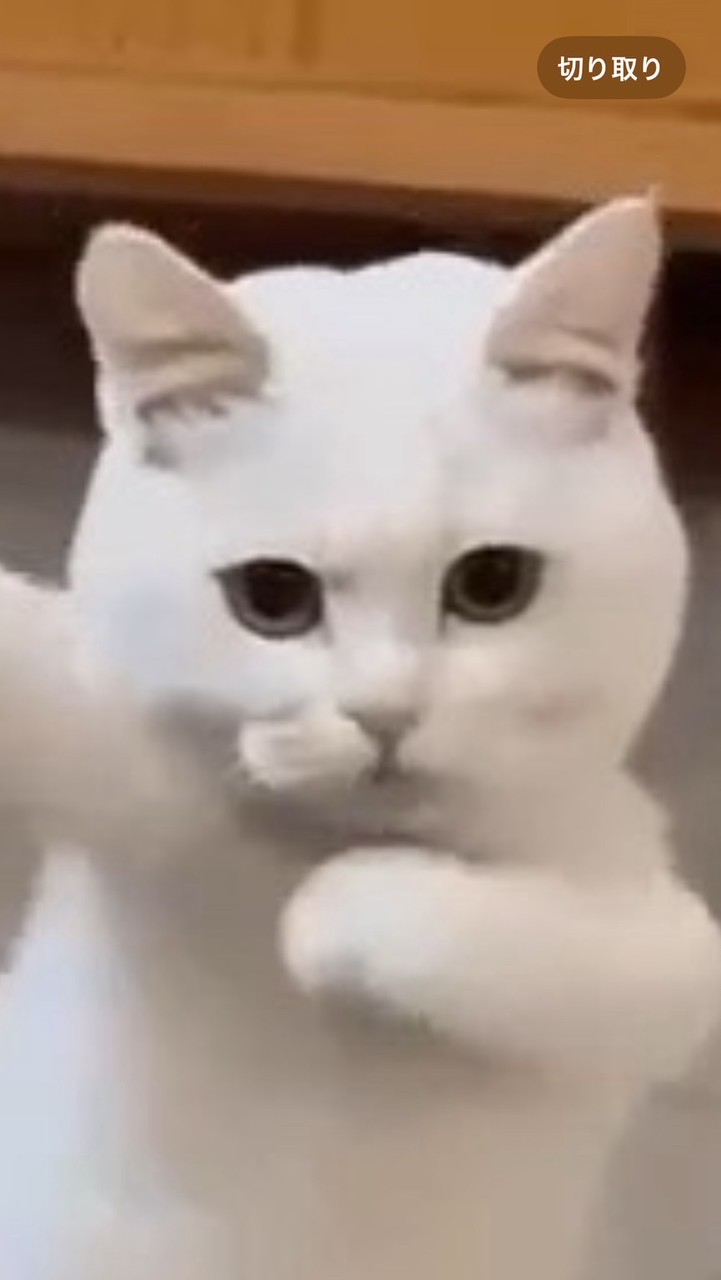 スライム軍団　十三不塔　#スライム#軍団#スライム軍団#十三不塔#