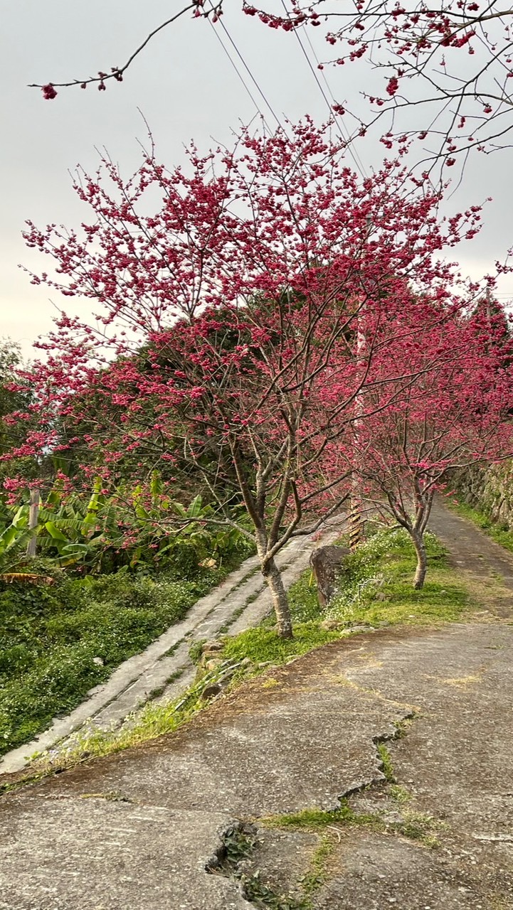 RU特價團購群❤️