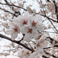 新高2集合