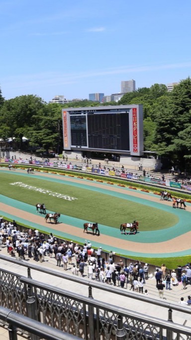 武田優駿のオープンチャットのオープンチャット